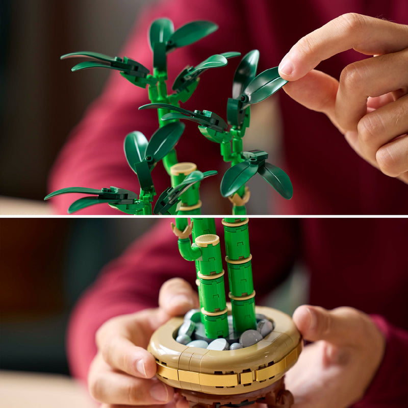 Đồ Chơi Lắp Ráp Cây Thần Tài May Mắn LEGO BOTANICALS 10344 (325 chi tiết) - ảnh 4