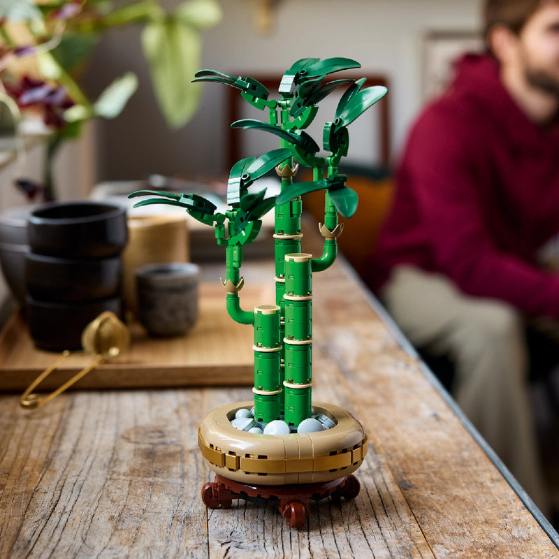Đồ Chơi Lắp Ráp Cây Thần Tài May Mắn LEGO BOTANICALS 10344 (325 chi tiết) - ảnh 5